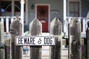 Atlanta Dog Bite Attorney Atlanta Dog Bite Attorney
