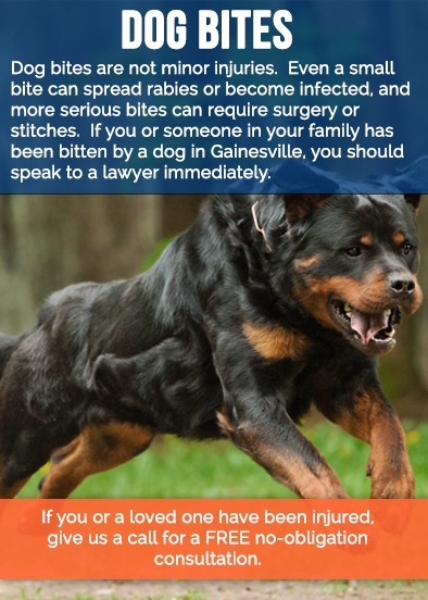 dog-bites-gaines