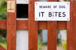 Dog Bite and Animal Attack Lawyer in Villa Rica, GA | John Foy & Associates Villa Rica Dog Bite and Animal Attack Lawyer