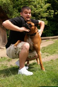 Stonecrest Dog Bite Lawyers | No Fees Upfront | 24/7 Support Stonecrest Dog Bite Lawyer