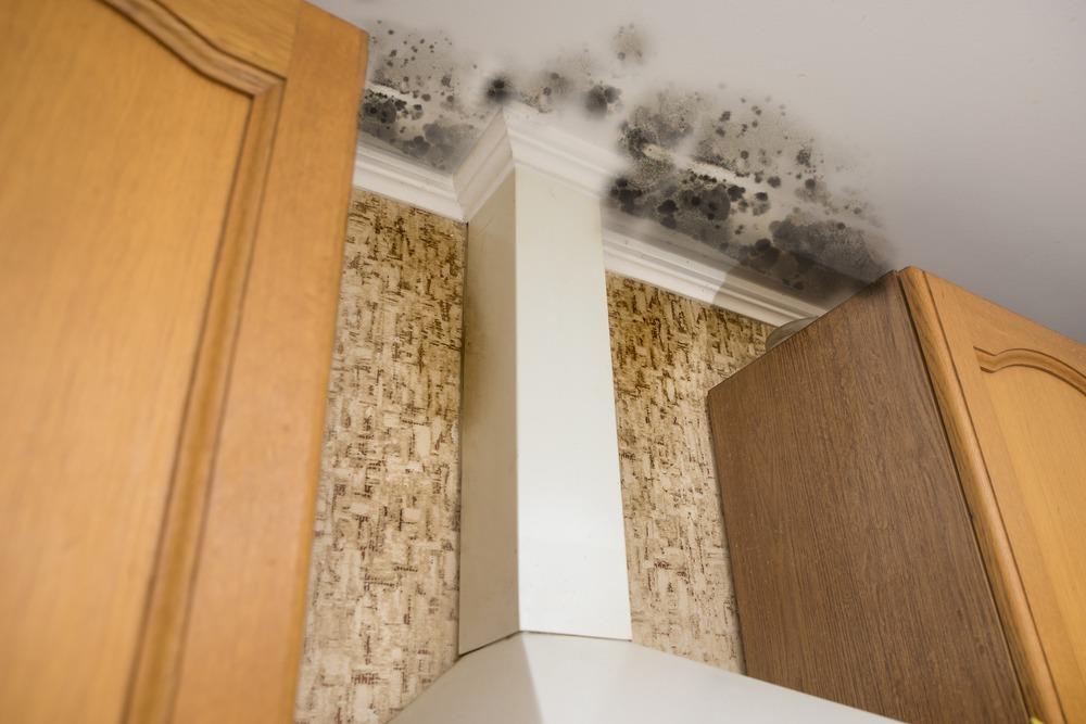 Augusta Unsafe Premises and Property Negligence Lawyer