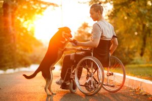 man in wheelchair with his dog